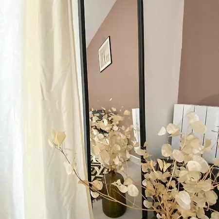 La Porte De L'echappee Verte - Parking Inclus, Wifi & Balcon 阿尔比