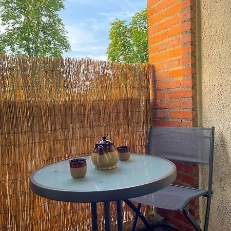公寓 La Porte De L'echappee Verte - Parking Inclus, Wifi & Balcon 阿尔比