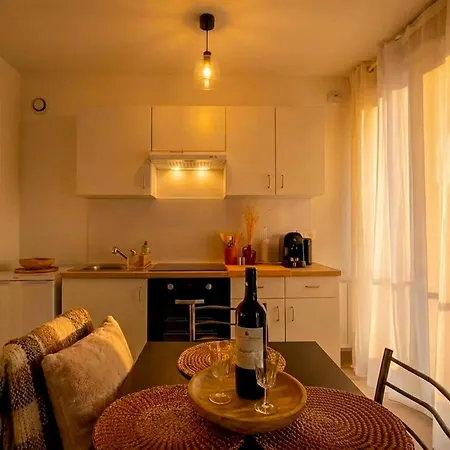 La Porte De L'echappee Verte - Parking Inclus, Wifi & Balcon Apartment Albi